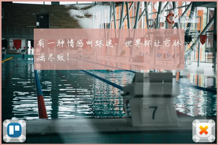 有一种情感叫球迷,世界杯让它淋漓尽致!